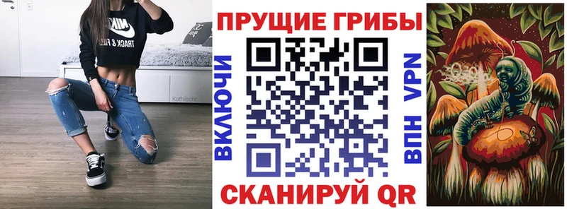 Купить где  Агрыз  Псилоцибиновые грибы прущие грибы 